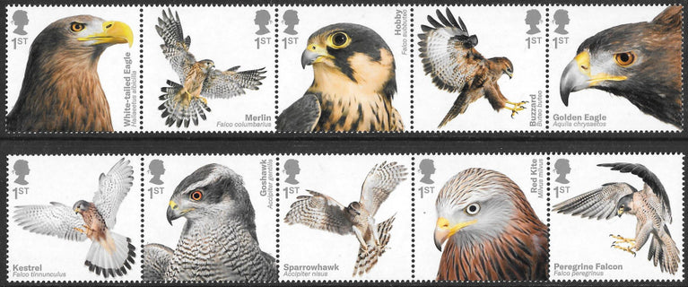 GB 2019 Commemorative Year Collection 13 Sets U/M - FACE VALUE £163.20