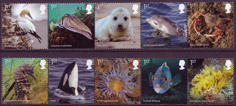 GB 2021 Commemorative Year Collection 13 Sets U/M - FACE VALUE £177